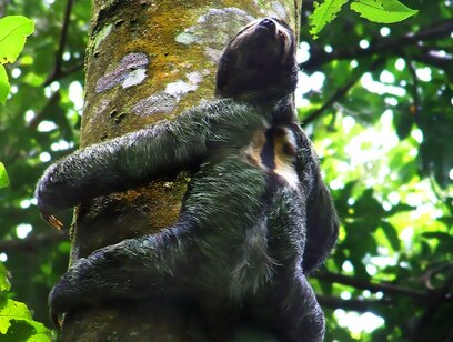 Manuel Antonio National Park with Jade Tours