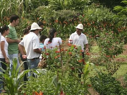 Arenal Coffee Tour