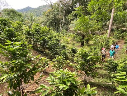 Coffee Chocolate Vanilla and Spice Guided Tour