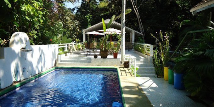 Enjoy affordability and beautiful scenery at the budget-friendly Hotel Mandarina of Manuel Antonio. This is one of the most beautiful areas in Costa Rica with gorgeous jungle-covered mountains that crash down to the sea. The Mandarina is spread out along the hillside and frequented by the many rainforest creatures including monkeys and sloths! It is also only a short drive from the beautiful beaches and national park. Hotel amenities include a swimming pool, tropical gardens and forest, and WiFi in some areas.