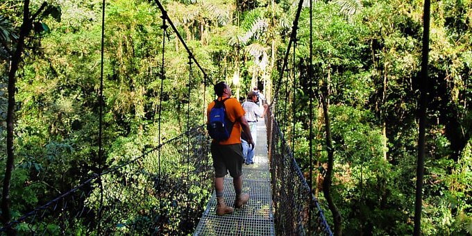 Arenal Hanging Bridges