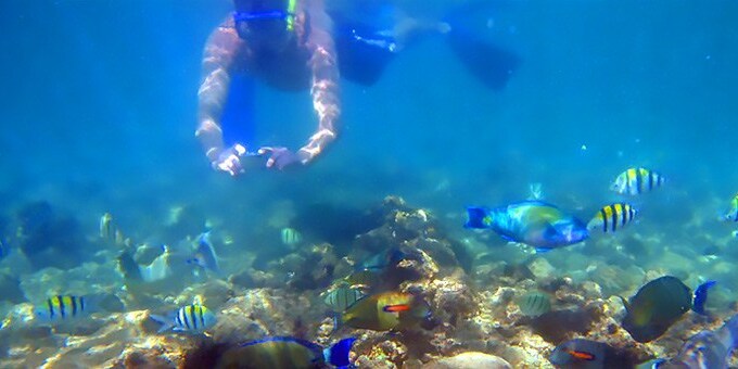 Cano Island Snorkeling