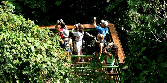 The Canopy Observation Platform is an amazing way to view the tree tops of the forest!  To access the platform you will be hoisted 35 meters into the canopy of the rainforest via an electric winch and special harness.  Most of the wildlife of the rainforest lives in the canopy.  With a little luck you will be able to observe tropical birds and other wildlife.  This fun filled half day adventure includes guide.  No transportation is needed from Hacienda Baru.  Transportation is not included from other area hotels.