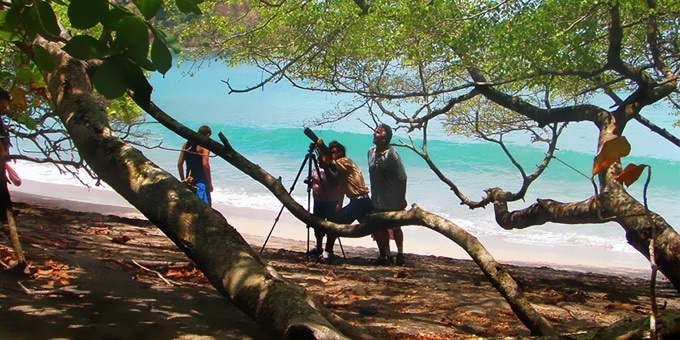 Guided tour in Manuel Antonio National Park