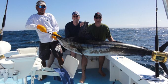 OFFSHORE SPORT FISHING 29 FT. BOAT - FULL DAY