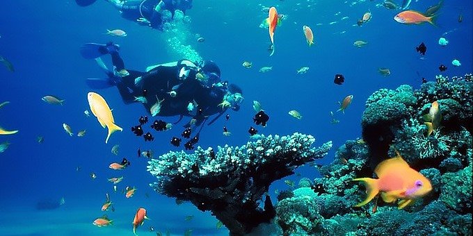 Today you will learn how to scuba dive while visiting the beautiful waters in Guanacaste province. You’ll be picked up from your hotel and taken to the dive center where you will be taught scuba diving basics by a professional scuba diving instructor. Next you will practice using the tanks, masks and fins while swimming in a pool. Once you have mastered the technique you will go by dive boat out to one or more diving sites to do your first ocean dives. You will not receive a PADI certification as a result of this tour but it may leave you hungry for more and even influence you to become PADI certified so that you can go on longer dives. When you return to land you’ll change into your dry clothes before being driven back to your hotel. This tour includes a professional licensed scuba instructor, scuba equipment, bottled water and transportation from Flamingo, Tamarindo and the Papagayo area. One way transportation from Flamingo is about 15 minutes to the dive center but can be over an hour from the other listed locations depending on where you are staying. Combined time of the scuba diving tour and round trip transportation can take between 4 and 6 hours. Please bring your bathing suit, towel, sun block, and dry clothes to change into. You do NOT need to have a PADI certification to take this tour.