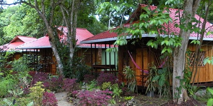 Escape to the enchanting Coral Hill Bungalows in Cahuita, Costa Rica, where rustic charm meets modern comfort in a serene hilltop setting. With breathtaking views of the rainforest and Caribbean Sea, our cozy bungalows provide a tranquil retreat. Immerse yourself in nature's splendor, unwind by the inviting swimming pool, and explore the vibrant Cahuita National Park. Experience the warm hospitality and personalized service as you create unforgettable memories in this slice of Costa Rican paradise. Hotel amenities include tropical gardens and a breakfast bar. It is also located within walking distance of the beach!