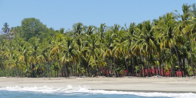 FREE DAY - BEACH DAY PLAYA CARRILLO