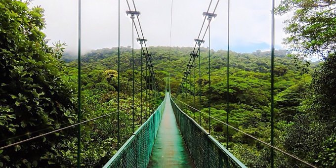 Hanging Bridges Guided Hike Tour at Selvatura