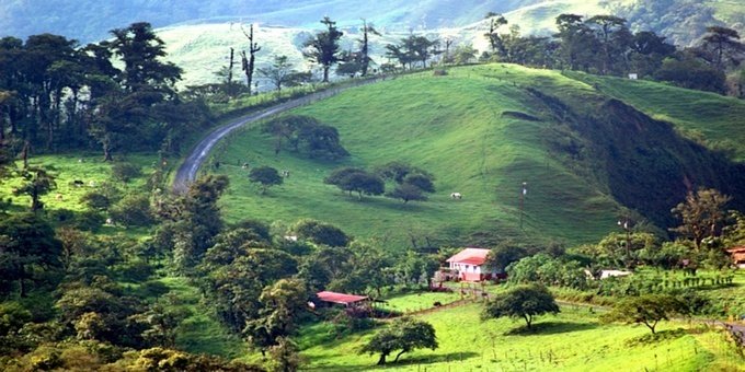 San Lorenzo Cloud Forest