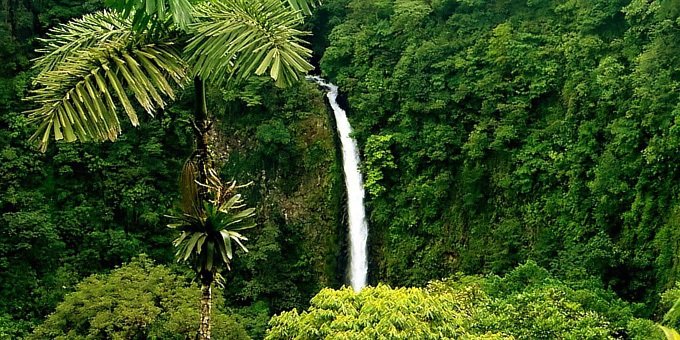 La Fortuna Waterfall and La Finquita Farm