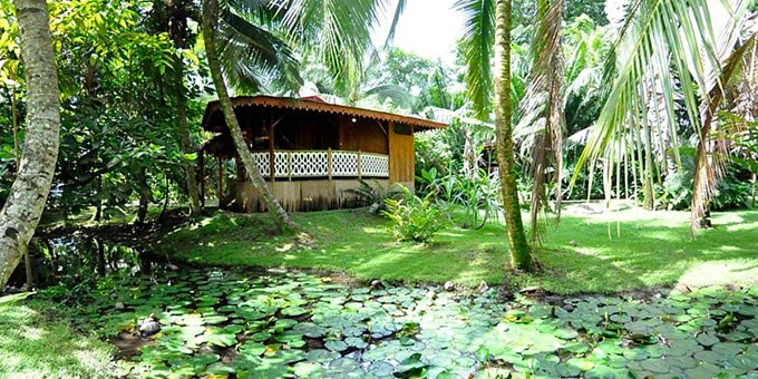 La Costa de Papito in Puerto Viejo, Costa Rica, is a charming budget-friendly retreat that embodies the laid-back Caribbean spirit. Nestled amidst lush tropical gardens and steps away from the pristine sands of Playa Cocles, this eco-friendly hotel offers a unique and authentic experience. Stay in colorful and individually designed cabins or bungalows, each infused with local art and craftsmanship. Relax in hammocks on your terrace, take a refreshing dip in the pool, or wander through the enchanting gardens alive with vibrant flora and fauna. Indulge in the flavors of the Caribbean at the on-site restaurant, serving fresh and locally sourced ingredients. With its commitment to sustainability and community involvement, La Costa de Papito provides a tranquil and eco-conscious escape where guests can immerse themselves in the natural beauty and vibrant culture of Puerto Viejo. Lodge amenities include a restaurant and bar, tropical gardens, spa and beauty salon, and WiFi in some public areas.