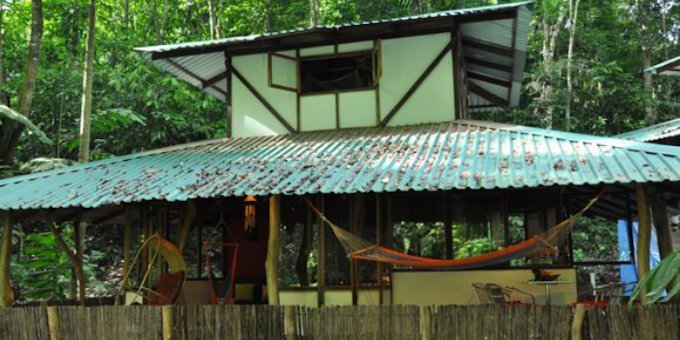 El Arbol Jungle Houses are comprised of two furnished casitas built on stilts designed of natural materials situated on 16 acres of private property within the Gandoca Manzanillo Wildlife Refuge. Created to provide a one-on-one experience with Nature, these elevated houses, featuring glass walls on the main floor with wrap around decks, allow an unusual opportunity to live within the rainforest canopy. The owners live on the property and feature landscaped access between houses, soft outdoor night lighting, forest trails and WIFI at the owners’ house. There is a white sand beach and small community 2 miles away.