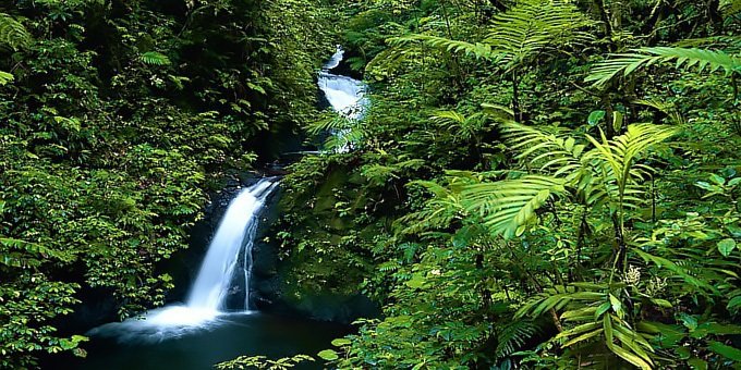 A waterfall in the Monteverde Cloud Forest Reserve