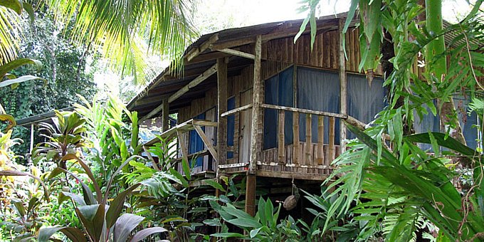 El Mirador Lodge is an affordable lodging option nestled in the enchanting rainforests of Drake Bay, Costa Rica. The lodge offers comfortable accommodations at budget-friendly rates, allowing guests to enjoy the beauty of the surrounding nature without breaking the bank. The lodge features cozy rooms and cabins that are thoughtfully designed to provide a peaceful and relaxing atmosphere. Guests can unwind on their porches or balconies, savoring the stunning views of the rainforest and the distant ocean. Guided tours and activities, such as hiking, wildlife watching, and snorkeling, are available for those seeking adventure. The friendly and attentive staff are always ready to assist guests with their needs and provide recommendations for exploring the area. With its affordable rates and serene rainforest setting, El Mirador Lodge is an ideal choice for budget travelers looking for an authentic and memorable experience in Drake Bay. Lodge amenities include a restaurant that serves three meals daily and tropical gardens. There is a 25 pound per person baggage-luggage weight restriction for flight or boat to hotel.