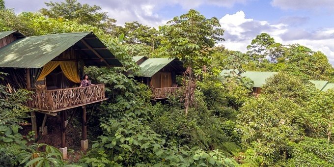 Located in the rural village of La Tigra, Costa Rica, La Tigra Rainforest Lodge offers a unique lodging option for your Costa Rica vacation!  This safari tent camp lodge allows visitors to be at one with their natural surroundings. The safari tents are set on hardwood platforms, so you can stay dry while being immersed in the jungle setting. As this is a true ecolodge, lodge amenities are minimal but include tropical gardens, a restaurant, trails, laundry service, parking, and free WiFi in some areas.