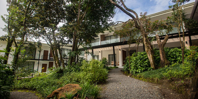 Nestled in Monteverde's captivating cloud forest, Ocotea Boutique Hotel invites travelers to immerse themselves in nature's grandeur. With a deep passion for the land and extensive experience in hospitality, our family-operated retreat offers a serene getaway for guests aged 10 and above. Comprising two buildings with 21 rooms, our hotel provides a range of amenities and services for comfort and relaxation. Enjoy delectable cuisine at the Nectandra Restaurant or unwind at the Monteverde Rooftop Bar & Cafeteria, offering a mesmerizing 360-degree view. Each room harmoniously blends modern design with the region's natural beauty, providing large windows for breathtaking forest views and the melodies of birdsong. Experience Monteverde's enchantment at Ocotea Boutique Hotel, where every moment is a testament to the splendor of Costa Rica's cloud forest.
