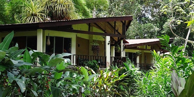 Heliconia Island is a unique bed and breakfast style hotel located in Puerto Viejo de Sarapiqui. Amenities include cabins, gardens, hiking trails, exotic gardens, and abundant wildlife.
