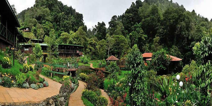 Nestled in the stunning natural beauty of San Gerardo de Dota, Costa Rica, Trogon Lodge offers a peaceful and enchanting escape for nature lovers and birdwatching enthusiasts. Surrounded by lush cloud forests and pristine rivers, this eco-friendly lodge provides a cozy and inviting atmosphere for guests to immerse themselves in the tranquility of the surroundings. The comfortable accommodations, designed with warm wood accents and rustic charm, offer a comfortable retreat after a day of exploration. Guests can embark on guided birdwatching tours to spot the elusive resplendent quetzal and a variety of other avian species. The lodge's on-site restaurant serves delicious Costa Rican cuisine, made with fresh local ingredients. Whether hiking through scenic trails, enjoying a soothing yoga session, or simply taking in the awe-inspiring natural landscapes, Trogon Lodge offers a serene and rejuvenating experience amidst the captivating cloud forests of San Gerardo de Dota. Lodge amenities include a trout pond, restaurant, bar, nature trails, conference room, and internet.