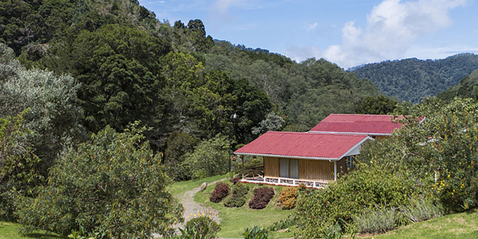 Set in the enchanting cloud forests of San Gerardo de Dota, Suria Mountain Hotel provides a unique ecolodge experience. The lodge specializes in hosting birdwatchers that come to see the many species of highland birds that inhabit Los Quetzales National Park. Lodge amenities include a restaurant, bar, nature trails, and internet access.