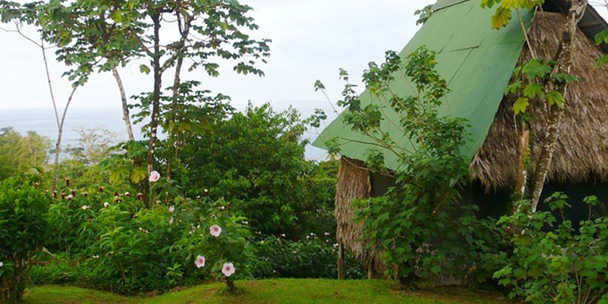 Punta Marenco Lodge offers an affordable and immersive experience in the pristine rainforests of Drake Bay, Costa Rica. This eco-lodge provides comfortable accommodations at affordable rates, allowing budget-conscious travelers to enjoy the natural beauty of the Osa Peninsula. The lodge features cozy and rustic rooms and bungalows that blend seamlessly with the surroundings, providing a peaceful and comfortable stay. Guests can enjoy delicious meals at the on-site restaurant, which offers local Costa Rica cuisine. Punta Marenco Lodge organizes budget-friendly activities such as guided hikes, wildlife spotting, and snorkeling excursions, allowing guests to explore the rich biodiversity of the area without breaking the bank. With its affordable rates, stunning natural surroundings, and commitment to sustainability, Punta Marenco Lodge is an excellent choice for budget travelers seeking an authentic and affordable experience in Drake Bay. Lodge amenities include a restaurant, bar, and nature trails.