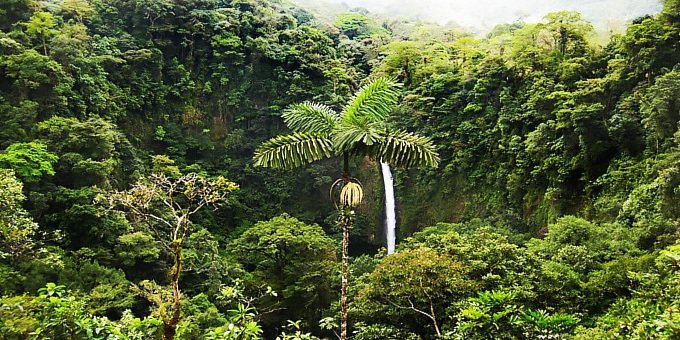 Consistently rated as one of Arenal's top attractions, La Fortuna Waterfalls is an impressive and beautiful site to see.