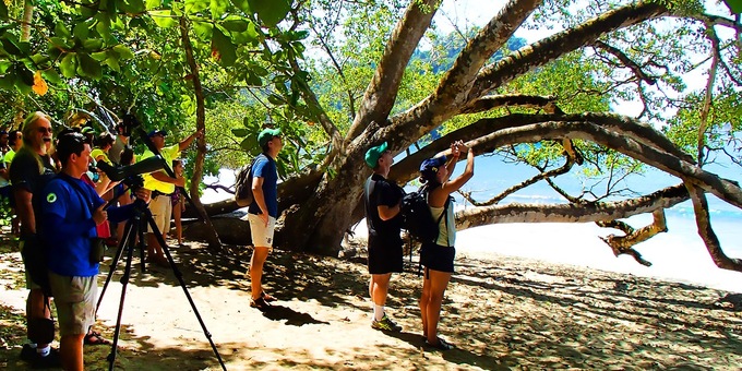 A group watches monkeys in Manuel Antonio National Park