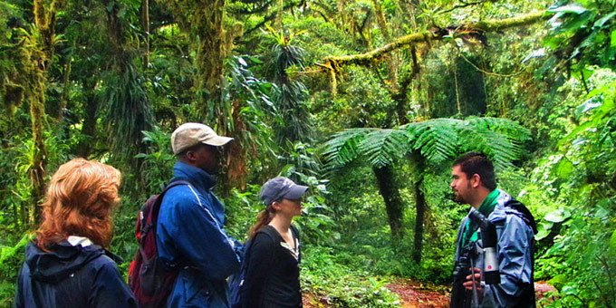 Tourists with a guide in Monteverde Cloud Forest