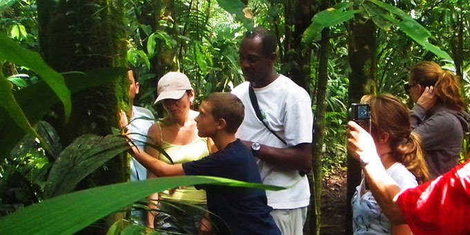 Tortuguero National Park is a warm and more humid destination with a multitude of wildlife species and flora. The park’s elaborate network of creeks offer natural scrublands that are peppered with diversity.