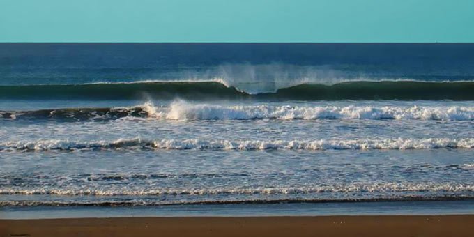 Nestled in the pristine wilderness of northwest Costa Rica's Nicoya Peninsula, the Camaronal Wildlife Refuge emerged in 1994 as a haven for the remarkable sea turtles that grace its shores with their presence during nesting season, which unfolds from June to January.