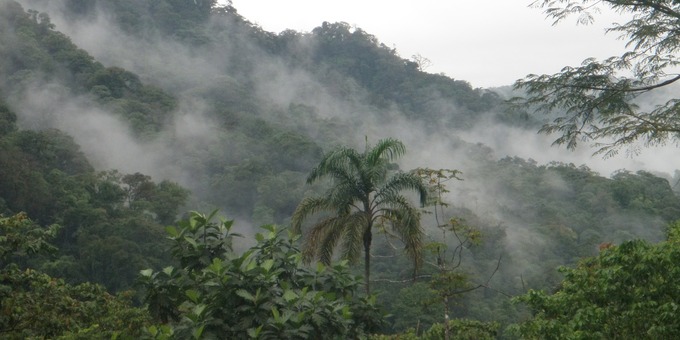 Nestled in the verdant hills of Costa Rica's Central Valley lies a hidden gem of biodiversity and natural beauty, Juan Castro Blanco National Park.