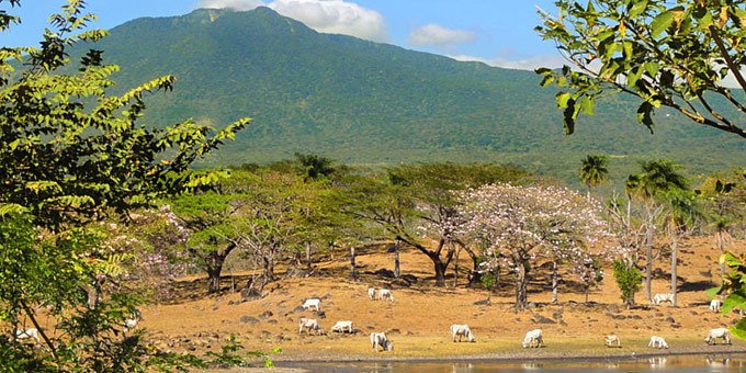 A nature-lovers trip to Costa Rica is not complete without a visit to the Miravalles Volcano Protected Zone. This impressive natural wonder is a photographer’s dream.