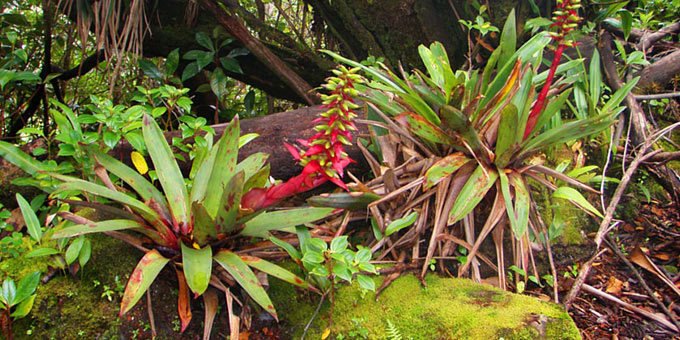 The San Vito Wetlands offer you the opportunity to explore various flora and birds that grace the region. This naturally lush region is tempting for photographers and nature-lovers alike and is rich in vegetation throughout the year.