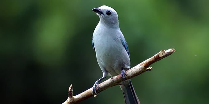 Hit the trails, fish, swim, bird watch or simply break out the camera for stunning natural photography. Tapanti National Park offers a colorful view into the ecological beauty of Costa Rica and the Orosi Valley.