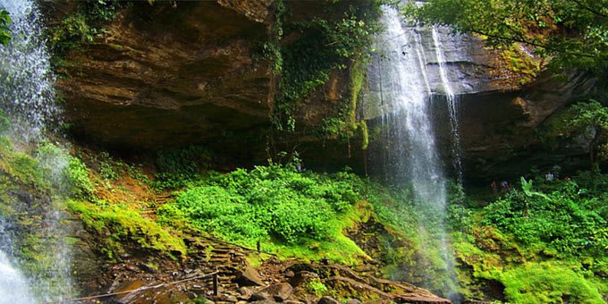 The Tree of Life tour is located in the southern zone of Costa Rica between Dominical and San Isidro del General.