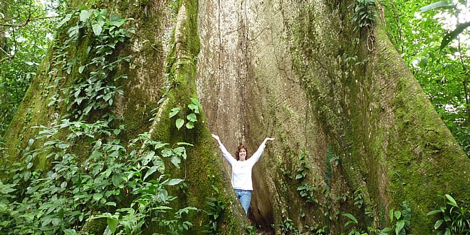 Costa Rica is an amazingly diverse country located on the continental divide of North and South America between the Caribbean Sea and Pacific Ocean.