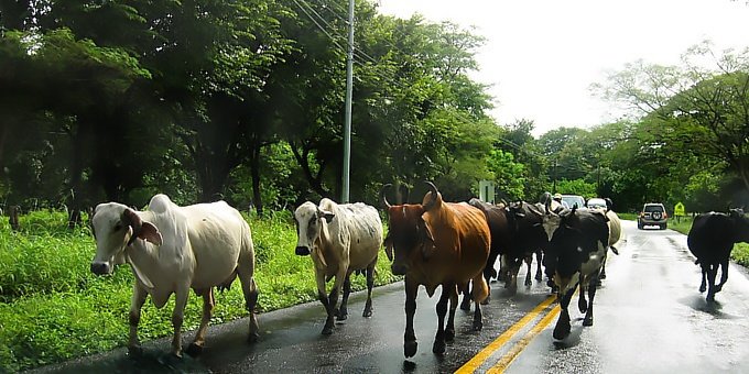 Driving in Costa Rica