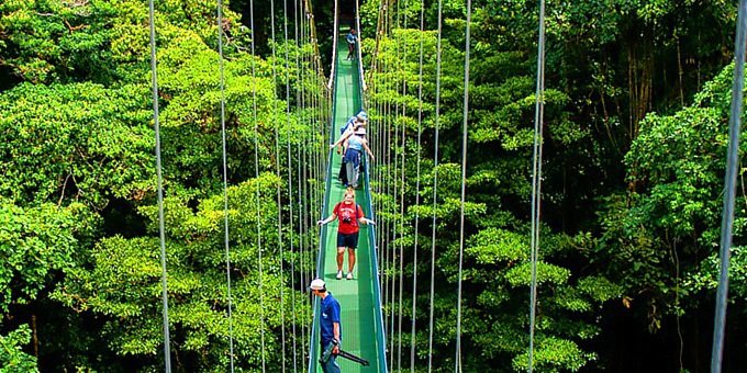 High up on the Continental Divide, cool misty cloud forests welcome you to explore rare birds and wildlife found only here. From guided nature hikes to high-speed zip lines, you can choose the adventure best suited to give you a thrill of a lifetime while visiting this unique area.