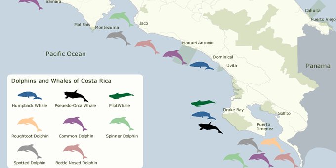 This dolphin and whale map shows the species that either migrate to or inhabit the waters of Costa Rica.