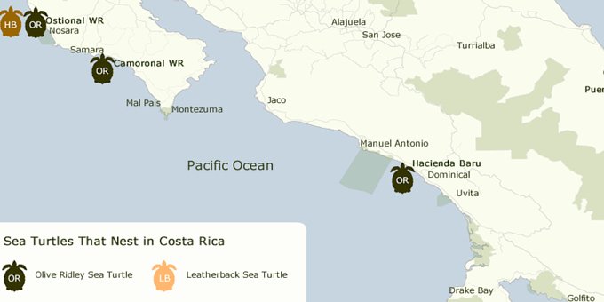 This map shows the most commonly used beaches for nesting sea turtles in Costa Rica.