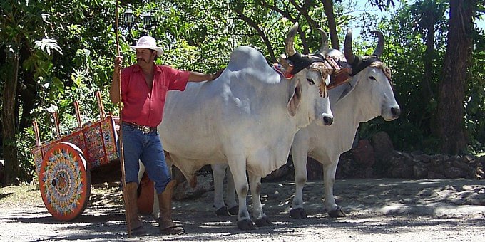 It’s another world in the Rincon de la Vieja region of Costa Rica. Experience serious adventure, surrounded by hot springs, mud pots and a wealth of native culture.