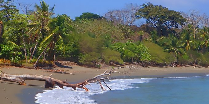 Ready to have your boots charmed off? Puerto Jimenez will make you smile with its rustic, cowboy vibe, small shops and beautiful surroundings.