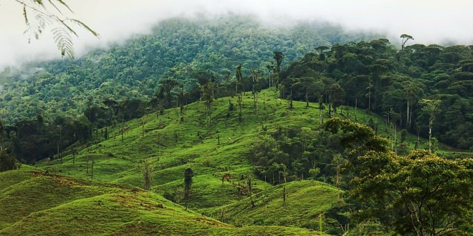 Nestled in the heart of the Southern Zone of Costa Rica, San Isidro del General, often referred to as San Isidro or Perez Zeledon, is a charming town that beautifully blends tradition with modernity.