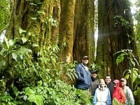 Monteverde Cloud Forest Reserve