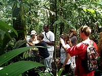 Tortuguero National Park