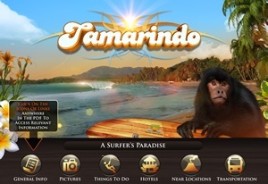 Tamarindo Guide